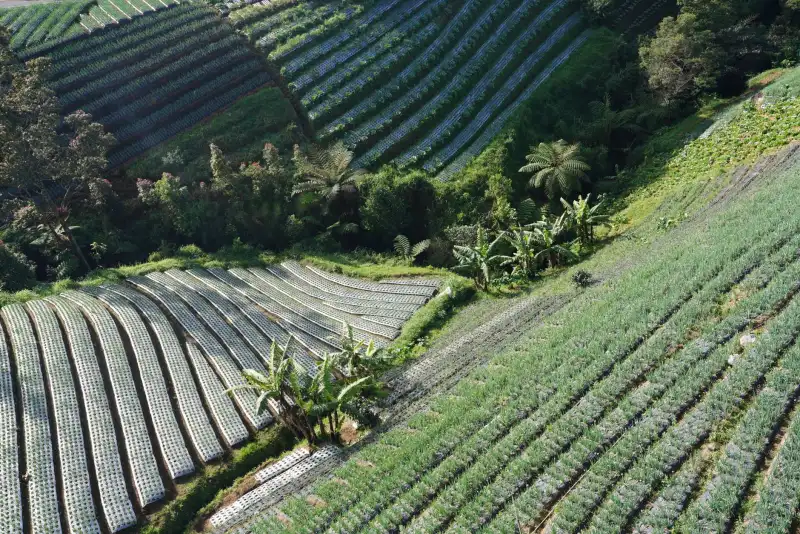 南宁速柏霖光电解析LED照明节能方案在工厂车间的降本应用