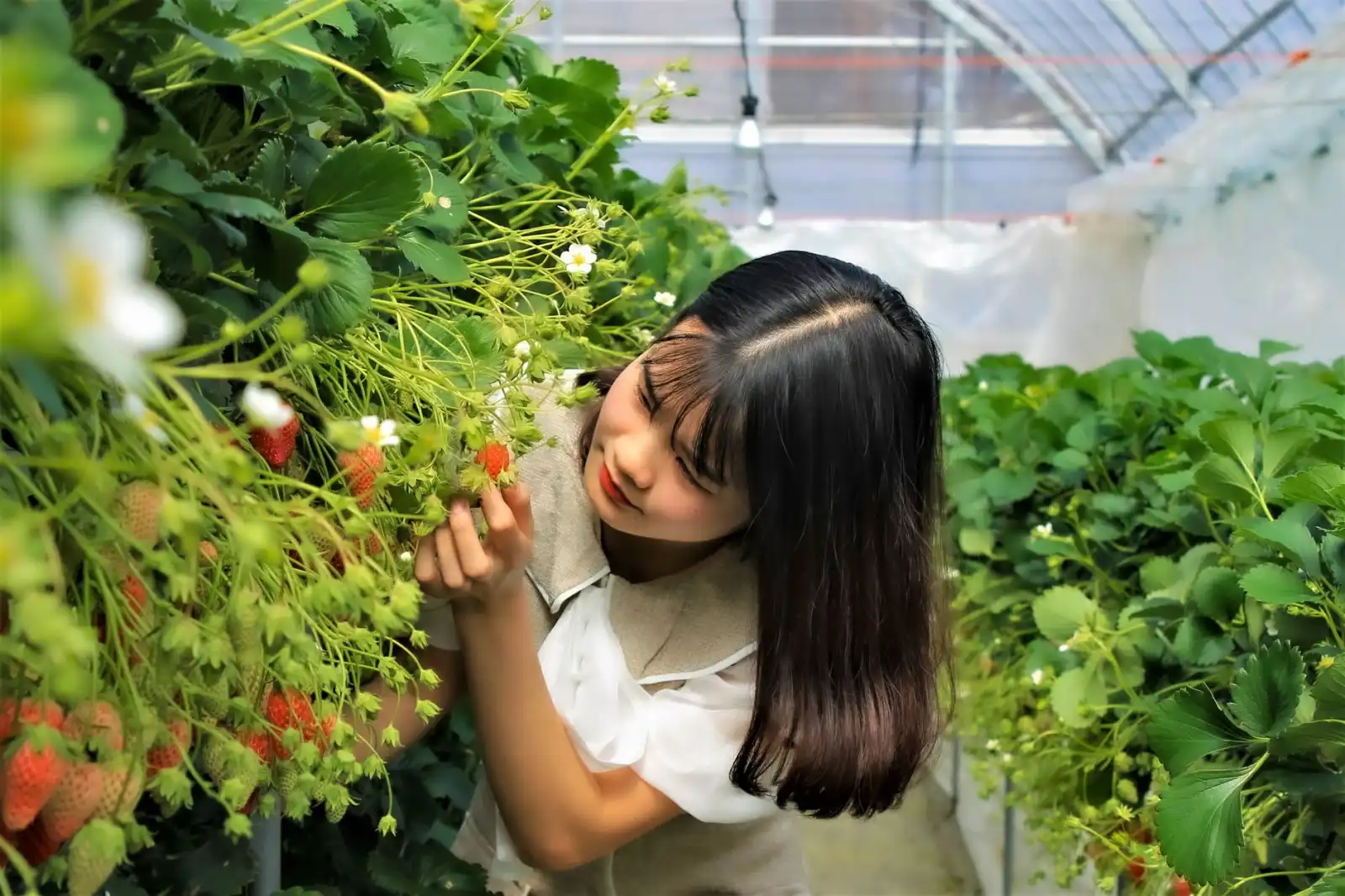 LED照明节能改造方案：工厂与写字楼降本增效的实践路径